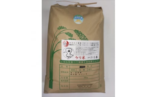 令和7年岐阜県養老産ケリ米ハツシモ　白米10kg【1512096】