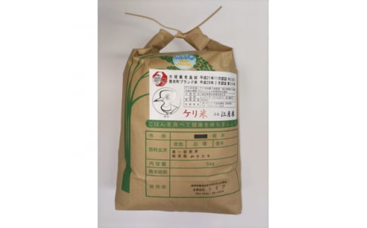 令和7年岐阜県養老産ケリ米ハツシモ　白米5kg【1512097】