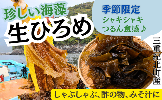 【珍しい海藻ひろめ】 この時期にしか手に入らない！「生ひろめ 600g」 [IT07]