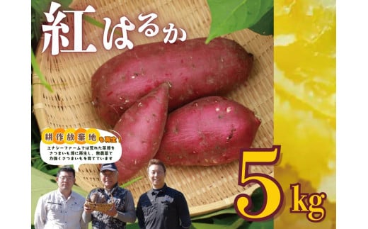 11-79　生さつまいも（5kg）