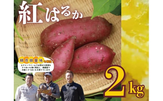 5-3　生さつまいも（2kg）