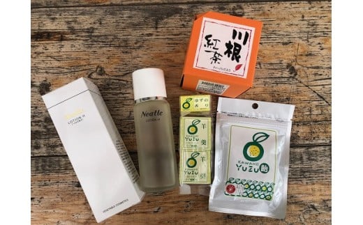 11-36 自然派化粧品「ニートリィ」セット