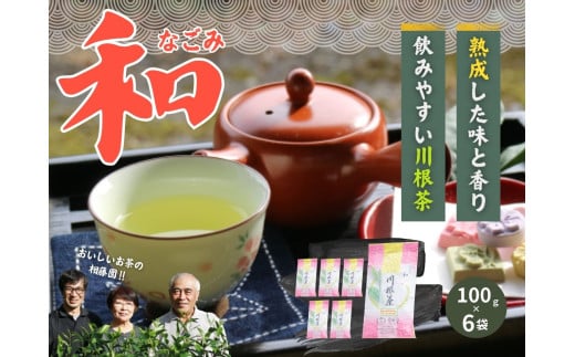 11-16 お茶 茶葉 静岡 煎茶 / おいしい川根茶「和（なごみ）」セット