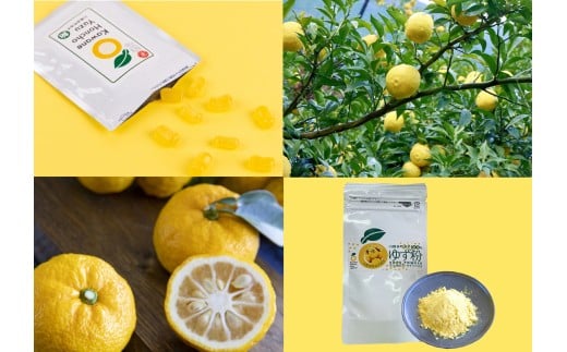 6-3 ゆず ゆず粉パウダー ゆず飴 / 川根本町香り高いゆずセットC