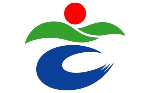 町長が必要と認める事業