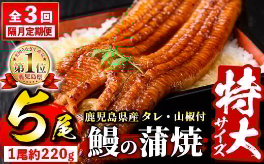 s736 【隔月・定期便3回】\特大サイズ/ 鹿児島県産 鰻蒲焼真空セット!(計約3.3kg・約220g×5尾×3回) タレ・山椒付! 鹿児島 九州産 国産 うなぎ ウナギ 鰻 土用の丑の日 蒲焼き うな重 ひつまぶし 定期便 隔月 1ヶ月おきに 冷凍 【薩摩川内鰻】