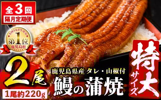 s732 【隔月・定期便3回】\特大サイズ/ 鹿児島県産 鰻蒲焼真空セット!(計約1.32kg・約220g×2尾×3回) タレ・山椒付! 鹿児島 九州産 国産 うなぎ ウナギ 鰻 土用の丑の日 蒲焼き うな重 ひつまぶし 定期便 隔月 1ヶ月おきに 冷凍 【薩摩川内鰻】