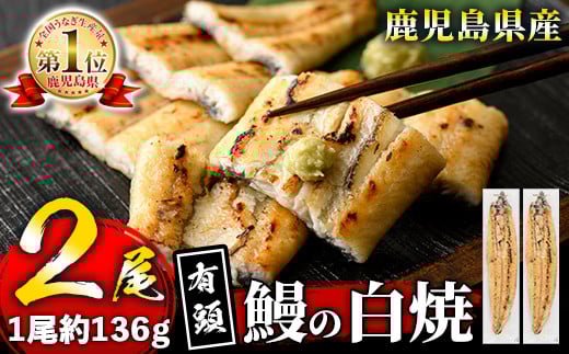 s445 《毎月数量限定》鹿児島県産 有頭白焼き2尾セット!(計約272g・約136g×2尾) 鹿児島 国産 九州産 鰻 うなぎ【薩摩川内鰻】