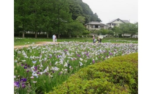 4. 都市形成・都市基盤の分野