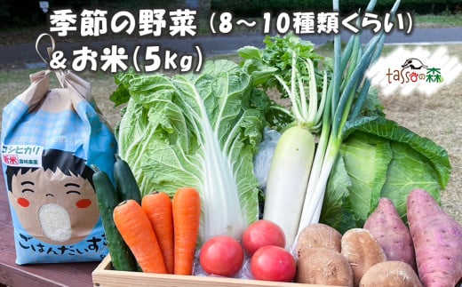 季節の詰合せ 野菜の宝箱 (お米5kg入り)｜新鮮 旬 採れたて やさい 米 詰め合わせ セット 産地直送 千葉 房総 袖ケ浦 [0377ch]