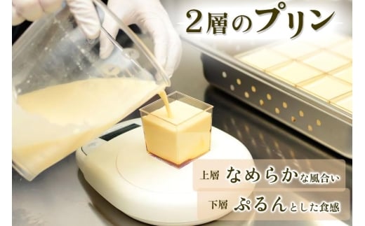 プリン「プレーン6個」江戸流行婦凛 (トウキョウハヤリ プリン)｜高級 ぷりん スイーツ ブランド卵 プリンセスエッグ ブランド 卵 たまご 袖ケ浦 千葉 [0488]