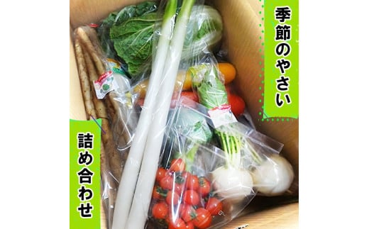 袖ケ浦の大地の恵み 季節のやさい詰め合わせ｜野菜 直送 [0038ch]