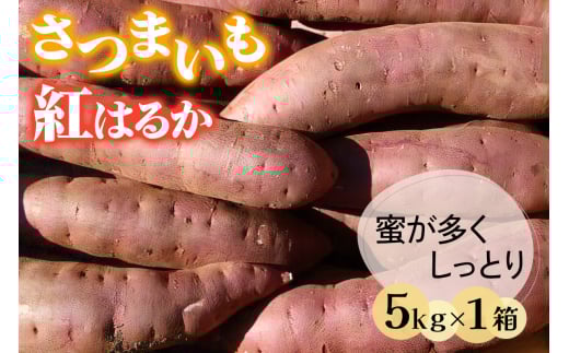 さつまいも (紅はるか) 5kg 奥野農園｜農家 直送 サツマイモ スイーツ 野菜 しっとり ホクホク 焼き芋 やきいも 料理 袖ケ浦 千葉 [0421ch]