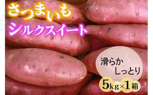 さつまいも (シルクスイート) 5kg 奥野農園｜農家 直送 サツマイモ スイーツ 野菜 しっとり ホクホク 焼き芋 やきいも 料理 袖ケ浦 千葉 [0422ch]