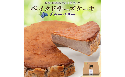 奥野牧場ベイクドチーズケーキ ホール (大) ブルーベリー｜チーズ ケーキ スイーツ フルーツ ミルク 牧場 ギフト お祝い 袖ケ浦 [0490]