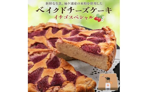 贅沢トッピングのベイクドチーズケーキ 奥野牧場 イチゴスペシャル ホール (大)｜米粉 グルテンフリー チーズ ケーキ スイーツ フルーツ ミルク 牧場 ギフト お祝い 袖ケ浦 [0494]