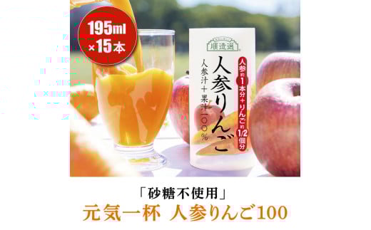 砂糖不使用 人参りんご 195g×15本 順造選｜無添加 無塩 健康 にんじん リンゴ ジュース ドリンク カロテン 長期保存 [0458]