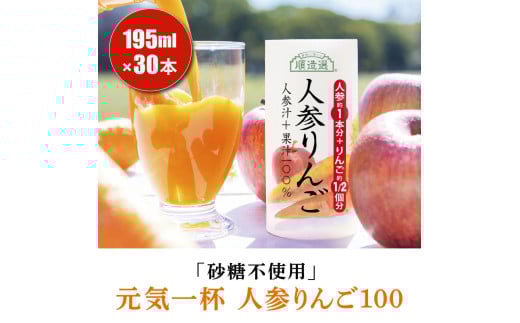 砂糖不使用 人参りんご 195g×30本 順造選｜無添加 無塩 健康 にんじん リンゴ ジュース ドリンク カロテン 長期保存 [0429ch]