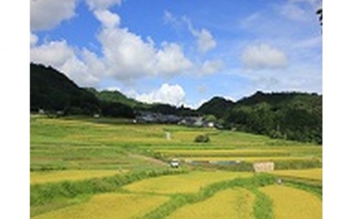 元気な農村を育てよう!(ふるさと・水と土保全基金)