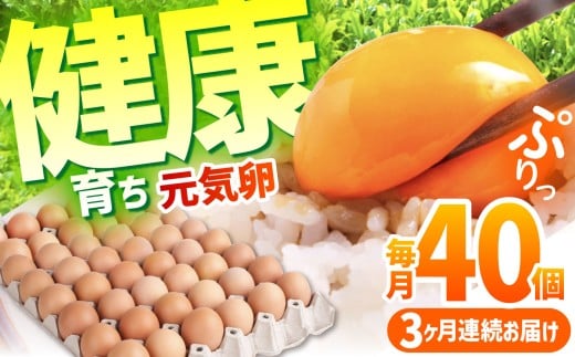 【3回定期便】お茶と海藻で健康育ち 元気卵 120個（40個×3回） / たまご タマゴ 玉子 鶏卵 / 亀山市 / 藪本養鶏園  [AMBH005]