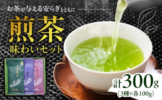 亀山茶・深蒸し煎茶・煎茶味わいセット / 茶 ちゃ お茶 おちゃ 緑茶 りょくちゃ 日本茶 茶葉 煎茶 セット / 亀山市 / 三重茶農業協同組合[AMAG006]