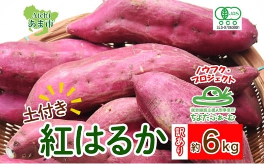 【訳あり・土付き】さつまいも 紅はるか 常温便 約6kg ノウフク 冷蔵便 就労支援 農福 農福JAS 無農薬 有機JAS 有機栽培 オーガニック 野菜 新鮮 料理 旬 季節 無農薬 千代田ファーム 愛知県 あま市