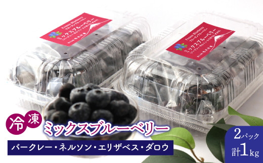 鳴沢村産冷凍ミックスブルーベリー(バークレー・ネルソン・エリザベス・ダロウ）500g×2パック NSAL005