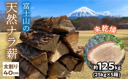 富士山の天然ナラ薪 太割り40cm 約125kg(25kg×5箱) 未乾燥 ふるさと納税 人気 おすすめ ランキング 薪 楢 焚き火 燃料 キャンプ 富士山 山梨県 鳴沢村 送料無料 NSAC002