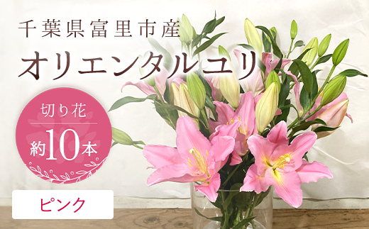 富里市産 オリエンタルユリ切り花(ピンク)約10本 TMG003 / ふるさと納税 オリエンタルユリ おりえんたるゆり ユリ ゆり 花 はな 切り花 きりばな 送料無料  千葉県 富里市