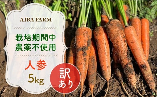 【12月~2月発送】【栽培期間中農薬不使用】訳あり人参5㎏  AIBA FARM B品 / 野菜 やさい にんじん 人参 ニンジン 名産 特産 甘い 美味しい 訳あり 不揃い B級 健康 ヘルシー フードロス AIBA FARM アイバファーム  千葉県 富里市 TML006