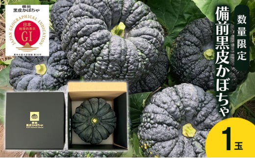 【数量限定】備前黒皮かぼちゃ (１玉) 株式会社大町 岡山県 瀬戸内市 かぼちゃ 野菜 スイーツ 手軽 料理 [№5735-2076]