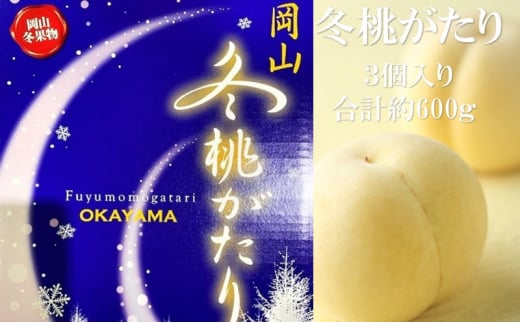 桃 【2025年 早期受付】 冬桃がたり 3個入り 合計約600g もも 岡山県産 国産 フルーツ 果物 ギフト [№5735-2090]