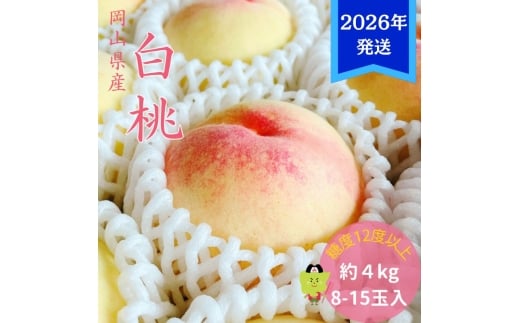 【2026年先行受付】 白桃 特秀 ロイヤル 大玉 約4kg(8～15玉) 岡山県産 桃 もも モモ 御中元 ギフト 御礼 プレゼント 御礼 御祝 御供 果物 くだもの フルーツ [№5735-3356]