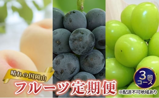 フルーツ 定期便 2026年 先行予約 晴れの国 岡山 の 定期フルーツ定期便 3回コース 桃 もも 葡萄 ブドウ 岡山県産 国産 セット ギフト[№5735-3270]