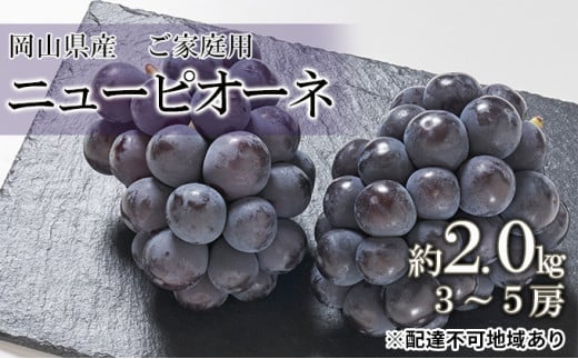 ぶどう 2026年 先行予約 ご家庭用 ニュー ピオーネ 約2.0kg （3～5房） ブドウ 葡萄 岡山県産 国産 フルーツ 果物 [№5735-0691]