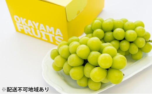 ぶどう 2026年 先行予約 ご家庭用 シャイン マスカット 2～3房 合計約1.2kg ブドウ 葡萄  岡山県産 国産 フルーツ 果物 ギフト [№5735-0887]