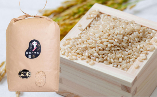 米 令和7年産 石原果樹園の備前乙女米 玄米 10kg×1袋 ※11月上旬～順次発送予定 ライス お米 ライス 乳酸菌栽培 岡山県 おにぎり お弁当[№5735-1122]