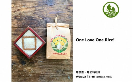 瀬戸内自然栽培米 令和7年産「朝日」玄米 5kg お米 エネルギー 無農薬 無肥料 有機肥料 旨味 おいしい 太陽 光 貴重 丁寧 難しい  [№5735-1407]