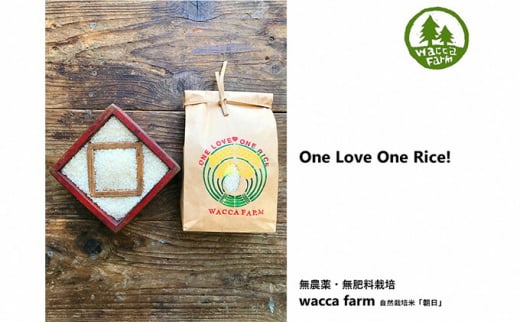 瀬戸内自然栽培米 令和7年産［朝日」玄米 10kg（5kg×2袋） お米 エネルギー 無農薬 無肥料 有機肥料 旨味 おいしい 太陽 光 貴重 丁寧 難しい  [№5735-1410]