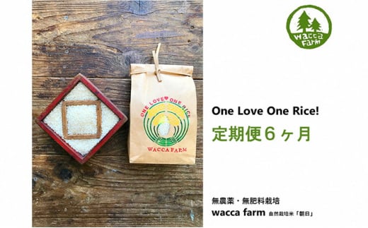 定期便6ヶ月　瀬戸内自然栽培米 令和7年産「朝日」白米 5kg お米 エネルギー 無農薬 無肥料 有機肥料 旨味 おいしい 太陽 光 貴重 丁寧 難しい  [№5735-1418]