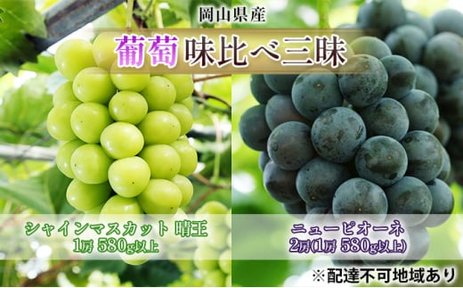 ぶどう 2026年 先行予約 葡萄 味比べ三昧 シャイン マスカット  晴王 1房 580g以上 ニュー ピオーネ  2房（1房 580g以上）（ハウス栽培）詰合せ ブドウ 葡萄  岡山県産 国産 フルーツ 果物 ギフト [№5735-1623]