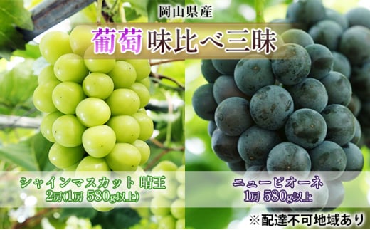 ぶどう 2026年 先行予約 葡萄 味比べ三昧 シャイン マスカット 晴王 2房（1房 580g以上）ニュー ピオーネ  1房 580g以上（ハウス栽培）詰合せ ブドウ 葡萄  岡山県産 国産 フルーツ 果物 ギフト [№5735-1624]