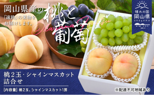 桃 ぶどう 2026年 白桃 晩生種 2玉 シャイン マスカット 1房 合計約1.0kg もも 葡萄 岡山県産 国産 フルーツ 果物 ギフト [№5735-1902]