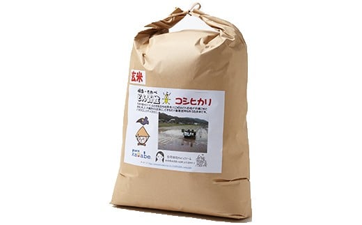 【数量限定】岐阜・かわべ どん百姓米(コシヒカリ玄米10kg)│玄米 米 お米 おこめ コメ