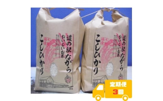 <毎月定期便>ながらのコシヒカリ 3kg×2袋(精米)全3回【4073174】
