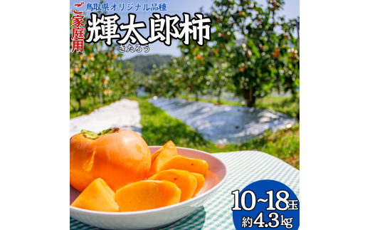 25K.輝太郎柿10~18玉〔ご家庭用〕