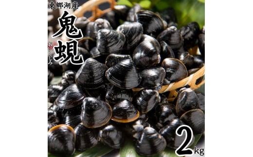54K.東郷湖産鬼蜆〔おにしじみ〕2kg
