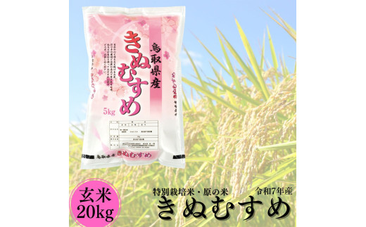 106K.特別栽培米『原の米･きぬむすめ』◇玄米20kg◇令和7年産