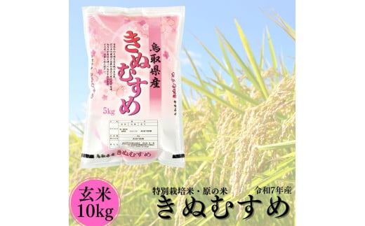 105K.特別栽培米『原の米･きぬむすめ』◇玄米10kg◇令和7年産