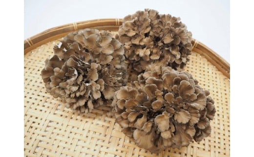 327K.まいたけ三昧・満足セット